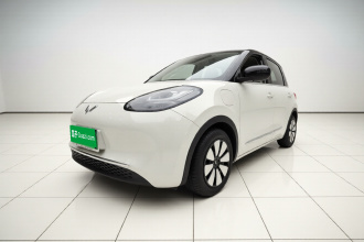 五菱汽车 五菱缤果 2023款 333km 悦享款