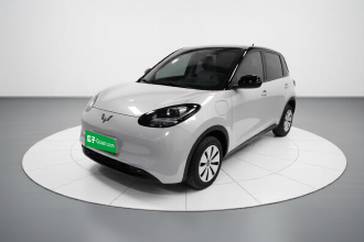 五菱汽车 五菱缤果 2024款 203km 轻享款