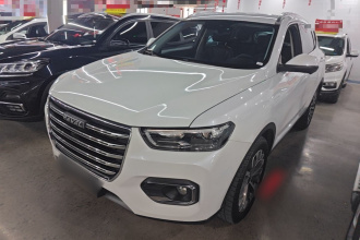 哈弗H6 2020款 1.5GDIT 自动铂金冠军版