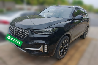 魏牌 VV6 2021款 2.0T 两驱儿童呵护版