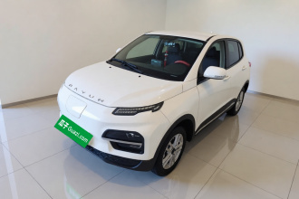 大运 悦虎 2022款 300 标准版