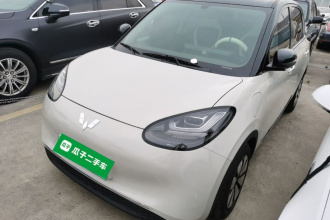 五菱汽车 五菱缤果 2024款 333km 悦享款