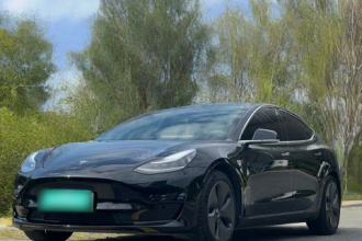 特斯拉 Model 3 2020款 标准续航后驱升级版