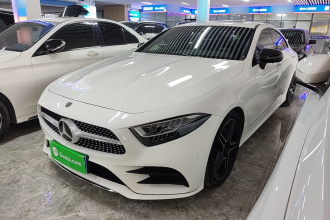 奔驰CLS 2021款 CLS 300 豪华型