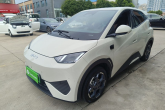 比亚迪 海鸥 2025款 智驾版 305km 自由版
