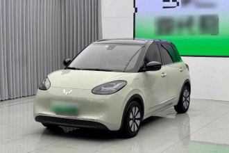 五菱汽车 五菱缤果 2023款 333km 灵犀互联+款