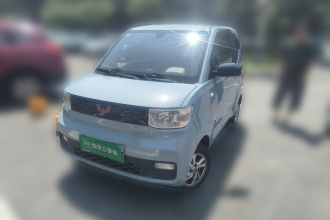 五菱汽车 宏光MINIEV 2020款 自在款 磷酸铁锂
