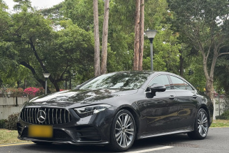 奔驰CLS  CLS 300 动感型