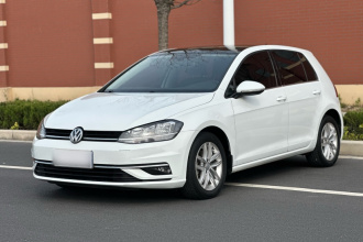 大众 高尔夫 2019款 280TSI DSG舒适型 国V