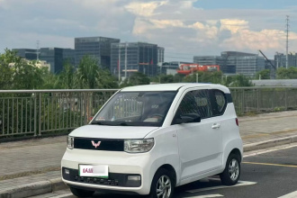 五菱汽车 宏光MINIEV 2020款 自在款 磷酸铁锂