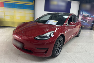 特斯拉 Model 3 2020款 标准续航后驱升级版