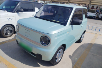 吉利银河 2023款 熊猫mini 200km 耐力熊