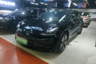 特斯拉 Model 3 2021款 改款 标准续航后驱升级版 3D1