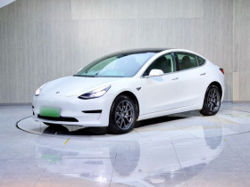特斯拉 Model 3(进口) 2019款 标准续航后驱升级版(52度)