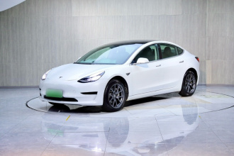 特斯拉 Model 3(进口) 2019款 标准续航后驱升级版(52度)