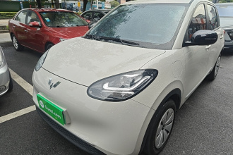 五菱汽车 五菱缤果 2024款 203km 轻享款