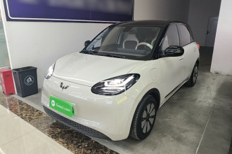 五菱汽车 五菱缤果 2023款 333km 灵犀互联+款