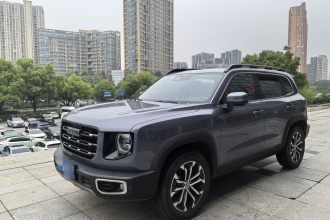 哈弗大狗 2021款 1.5T DCT两驱边牧版