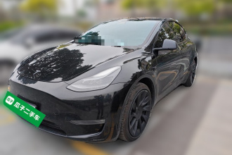 特斯拉 Model Y 2021款 标准续航后驱版