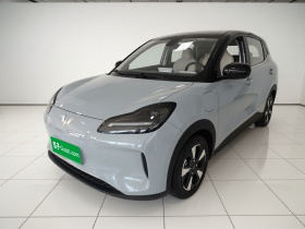 五菱汽车 五菱缤果PLUS 2024款 401km 五座版