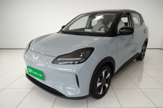 五菱汽车 五菱缤果PLUS 2024款 401km 五座版