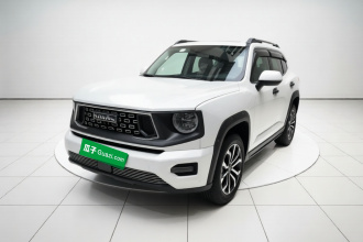 哈弗大狗 PLUS 2023款 2.0T 四驱潮野Plus