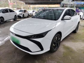 吉利几何G6 2024款 500KM 尊贵型