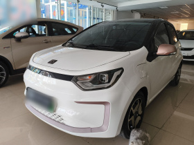 思皓 花仙子 2021款 集美版 302km 时尚型