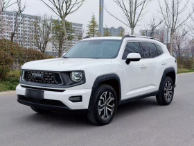 哈弗大狗 PLUS 2023款 2.0T 四驱潮野Plus