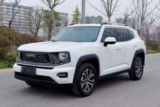 哈弗大狗 PLUS 2023款 2.0T 四驱潮野Plus