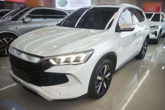 比亚迪 宋Pro新能源 2023款 冠军版 DM-i 110KM超越型