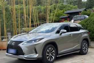 雷克萨斯RX 2020款 改款 300 两驱精英版