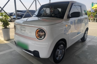 吉利银河 2023款 熊猫mini 200km 耐力熊