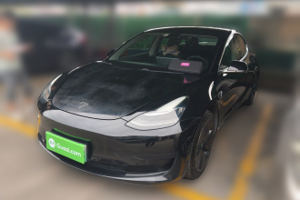 特斯拉 Model 3 2020款 改款 标准续航后驱升级版