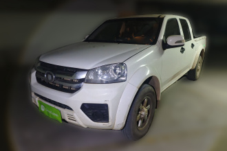 长城 风骏5 2023款 2.0T 柴油两驱进取型大双