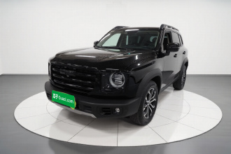 哈弗大狗 2021款 1.5T DCT两驱边牧-旺财版