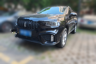 魏牌 VV5 2020款 1.5T 两驱颜先锋