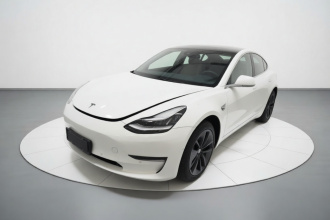 特斯拉 Model 3(进口) 2019款 长续航后驱版