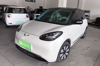 五菱汽车 五菱缤果 2024款 333km 悦享款