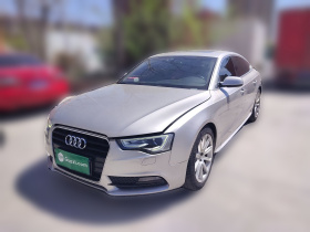 奥迪A5 2014款 Sportback 45 TFSI风尚版