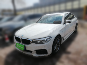 宝马5系(进口) 2019款 525i M运动套装