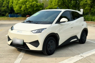 比亚迪 海鸥 2025款 智驾版 305km 活力版