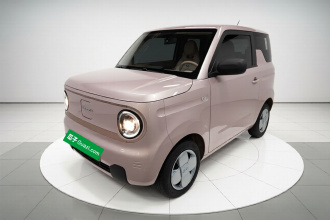 吉利银河 2023款 熊猫mini 200km 耐力熊