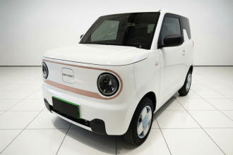 吉利银河 2024款 熊猫mini 200km 耐力熊