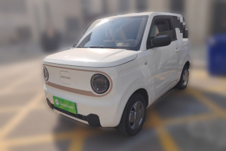 吉利银河 2023款 熊猫mini 200km 耐力熊
