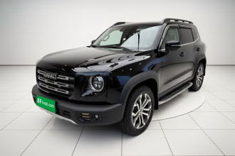 哈弗大狗 2021款 1.5T DCT两驱边牧版