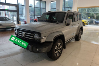 坦克300 2021款 城市版 2.0T 很有型