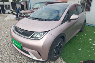 比亚迪 海豚 2021款 405km 时尚版