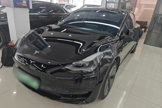 特斯拉 Model 3 2021款 改款 标准续航后驱升级版 3D1