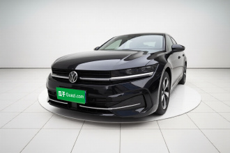 大众 迈腾 2024款  300TSI DSG尊享版显眼包